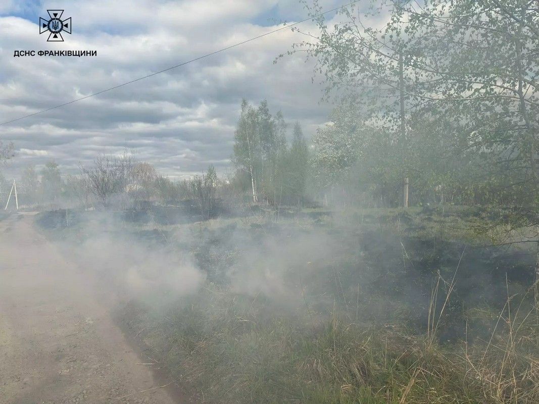 Майже два десятка пожеж сухої трави зареєстрували на Прикарпатті за вихідні 3