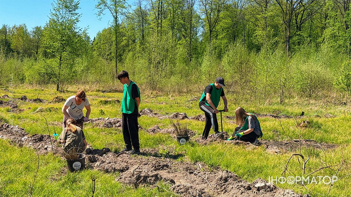 Масштабну висадку саджанців дуба провели у Шепарівському лісництві 9