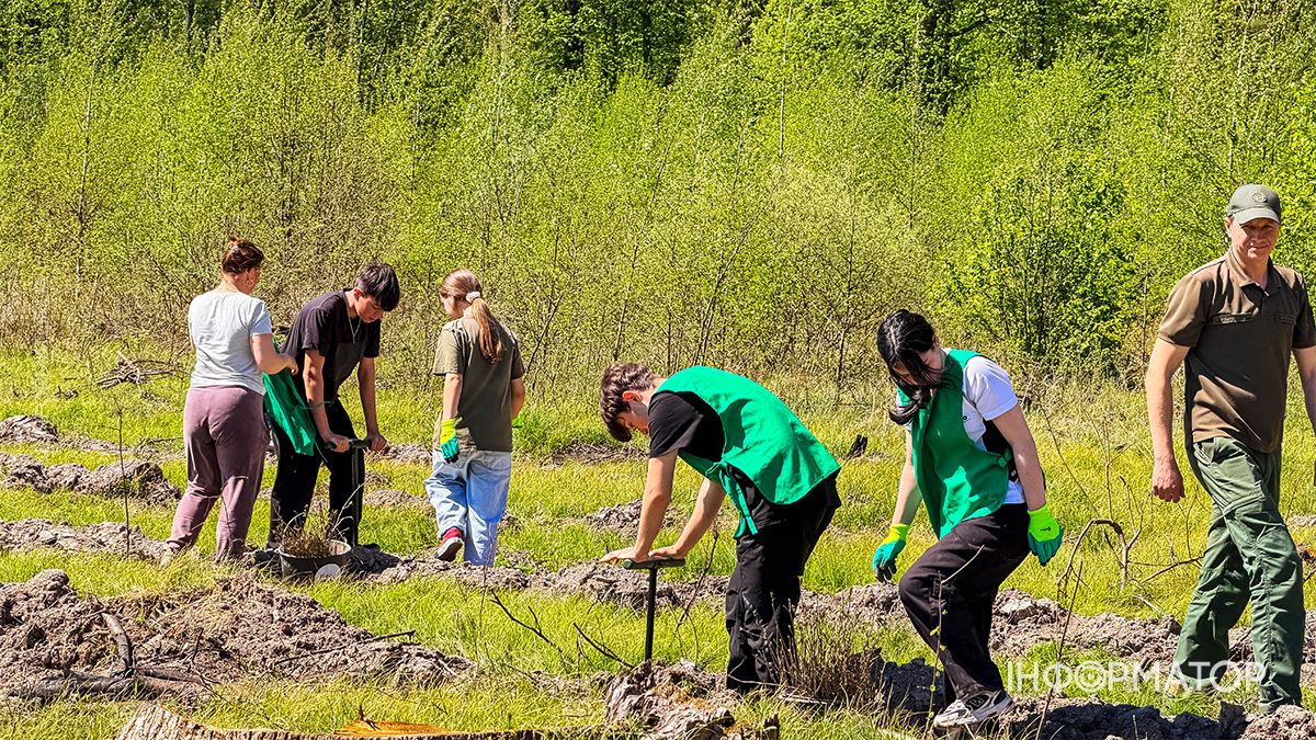 Масштабну висадку саджанців дуба провели у Шепарівському лісництві 4