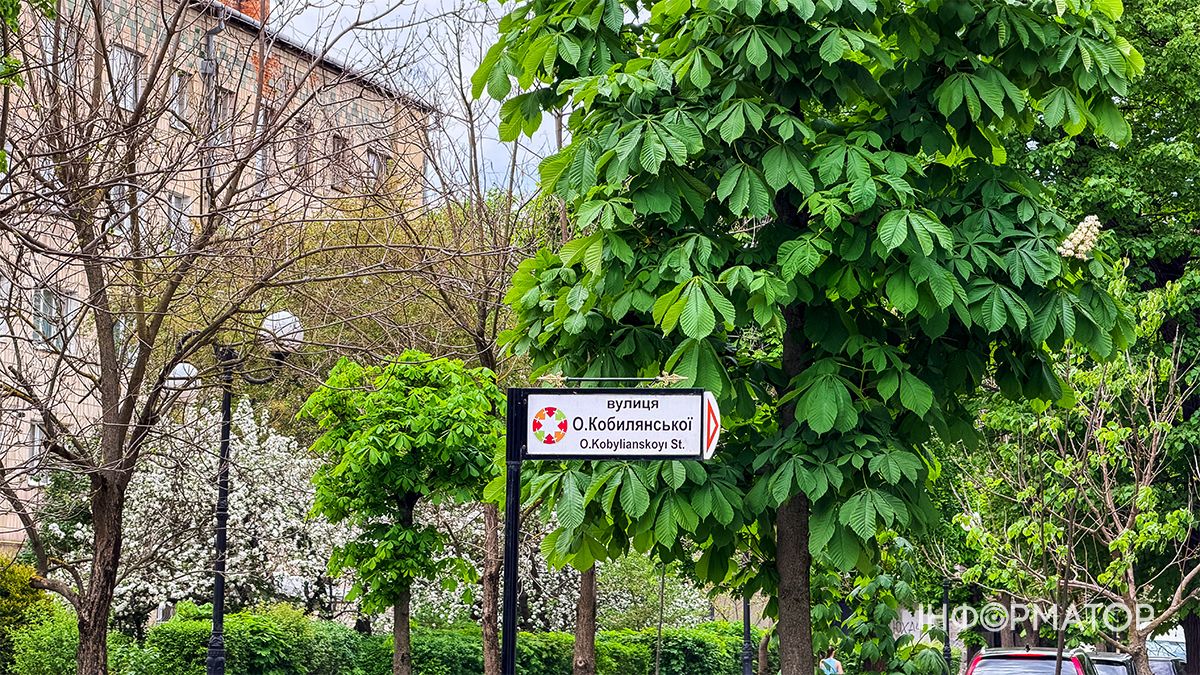 Весняна Коломия: як виглядають вулиці та парк міста у зелених шатах 20