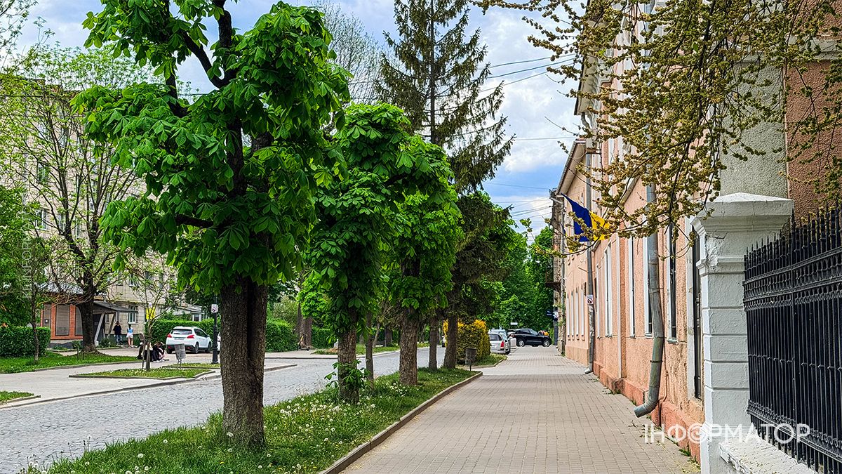 Весняна Коломия: як виглядають вулиці та парк міста у зелених шатах 18