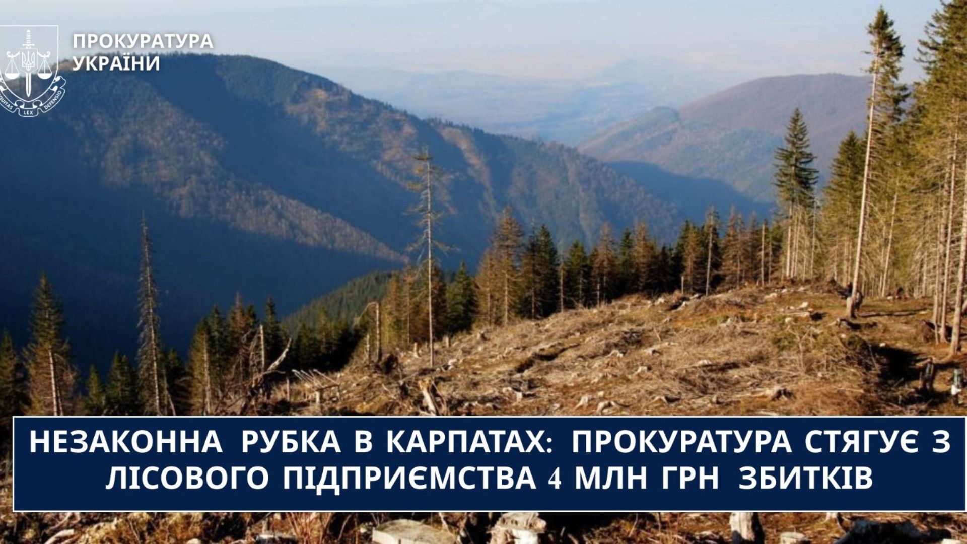 Незаконні вирубки дерев на Косівщині