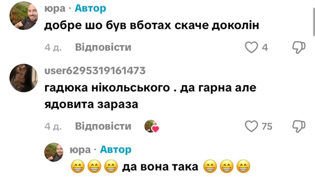 Чорну гадюку помітили у Карпатах 1