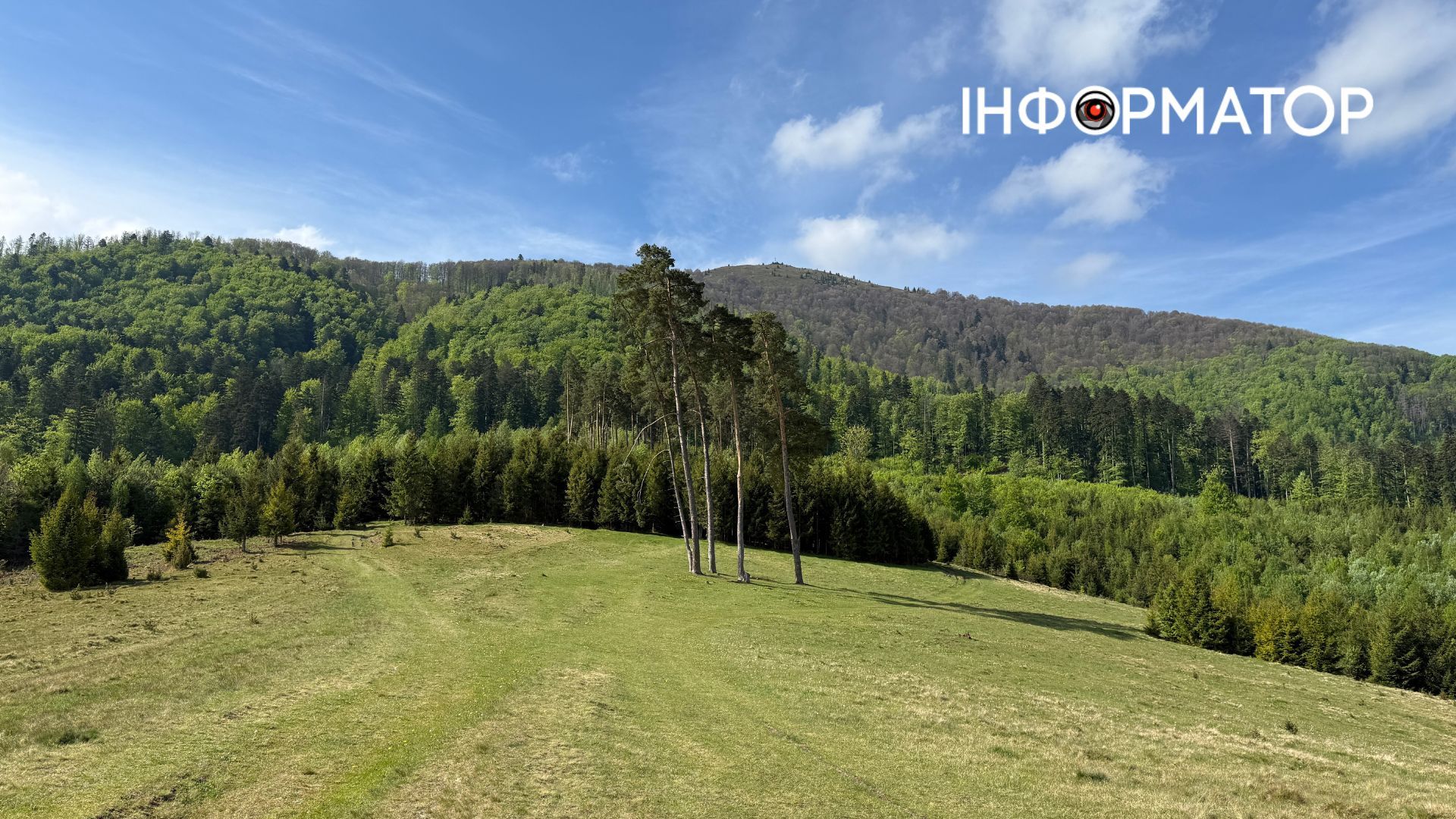 Зелене море, розрізане стежками: фоторепортаж з майже літніх Карпат 1