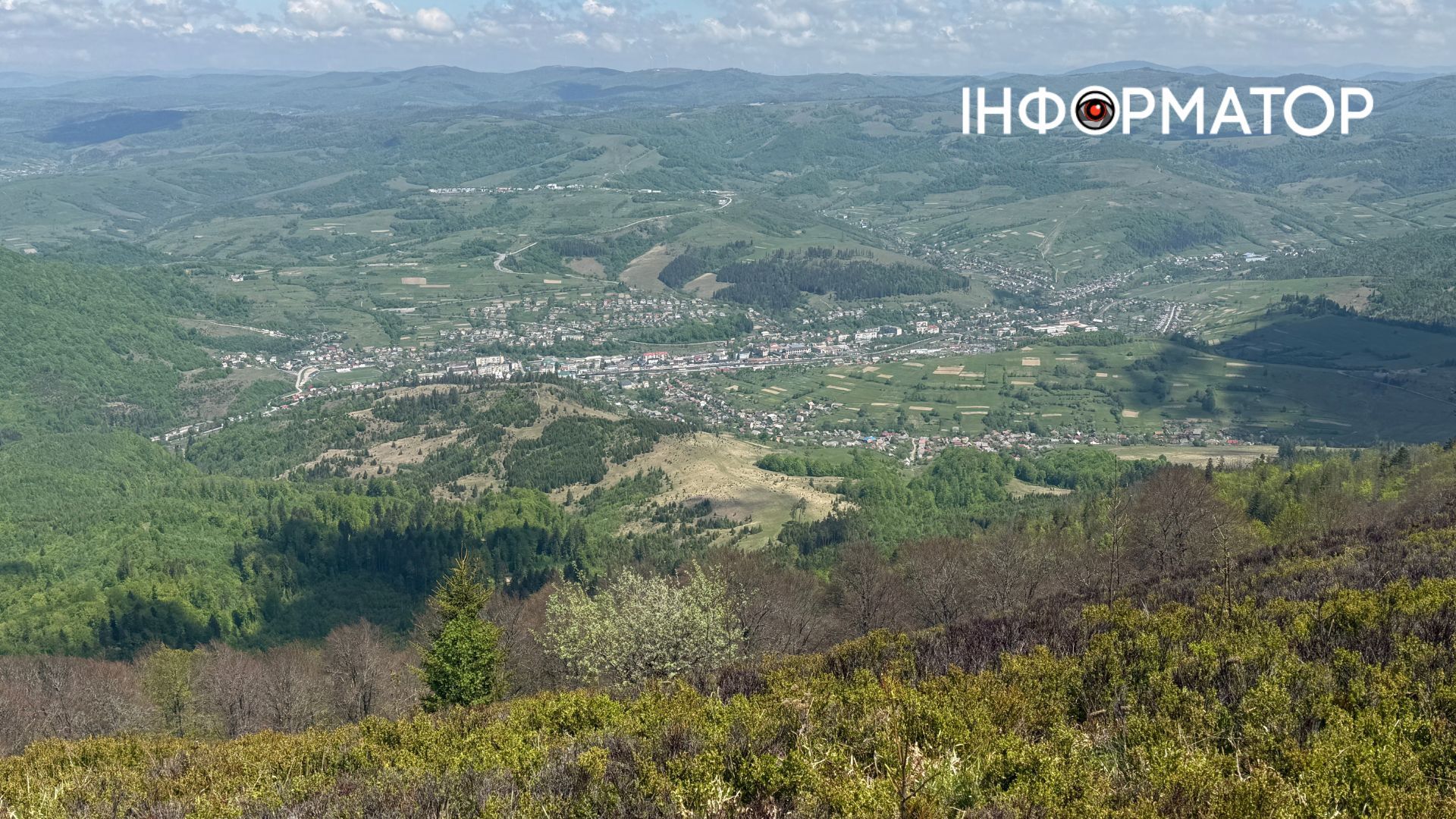 Зелене море, розрізане стежками: фоторепортаж з майже літніх Карпат 5