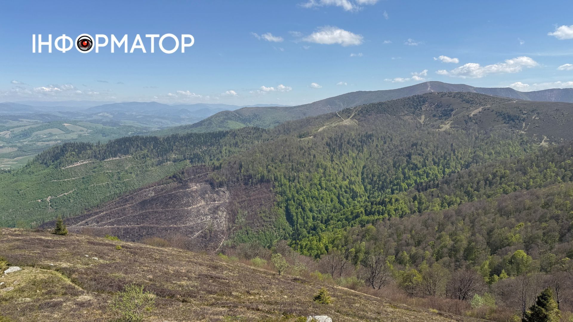 Зелене море, розрізане стежками: фоторепортаж з майже літніх Карпат 7