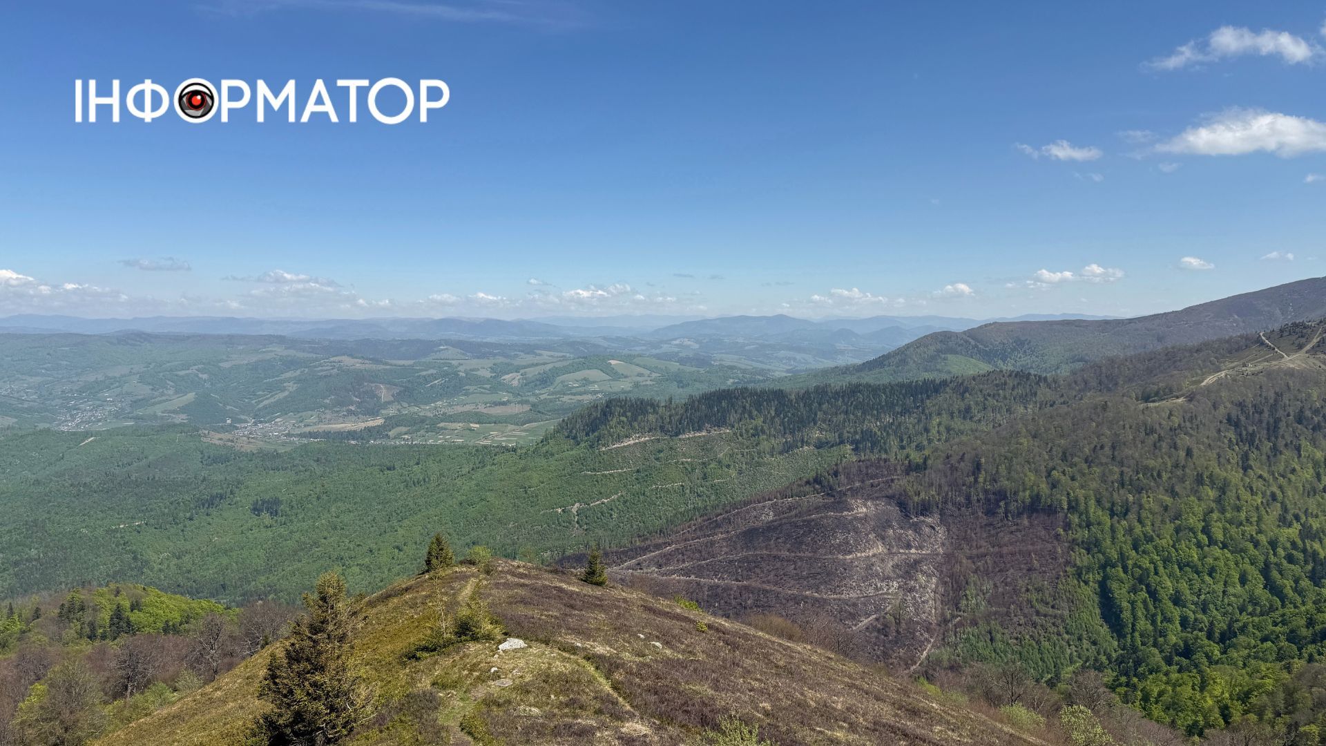 Зелене море, розрізане стежками: фоторепортаж з майже літніх Карпат 12