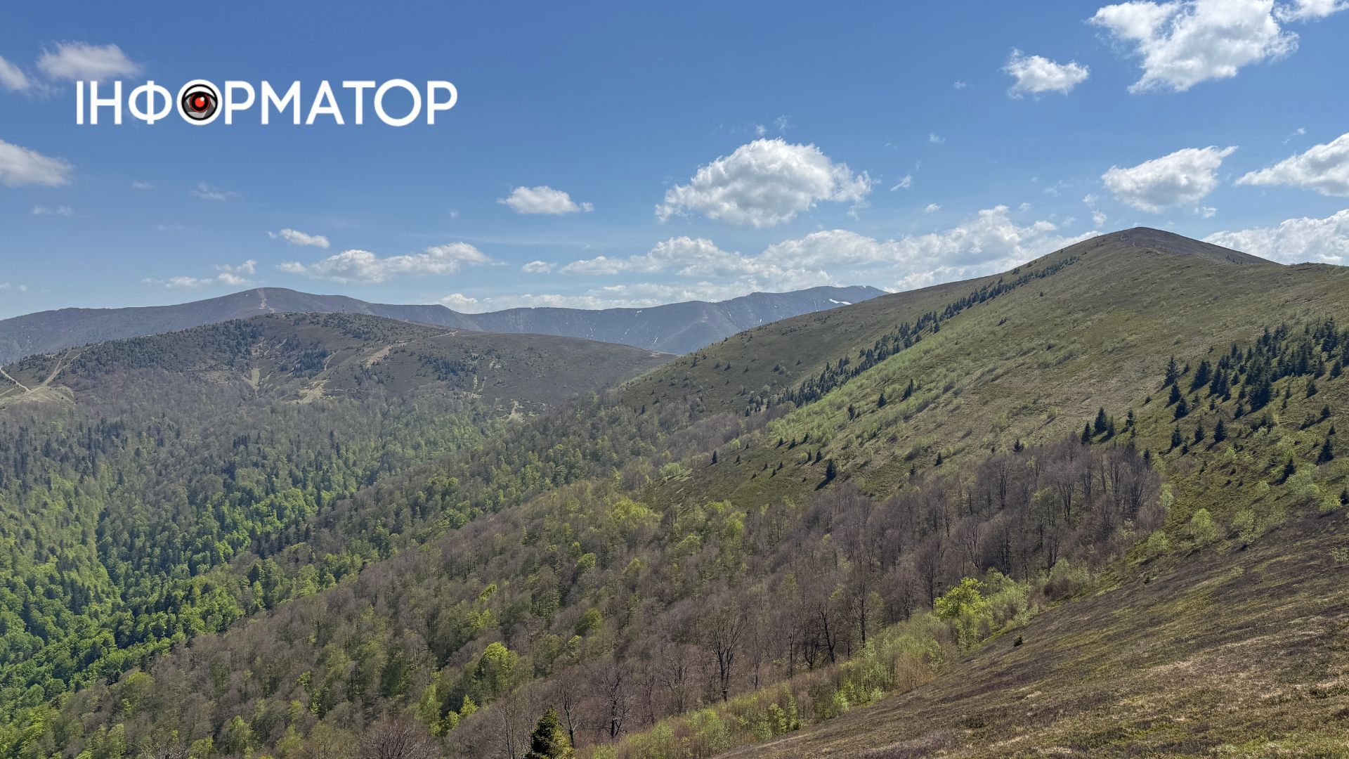 Зелене море, розрізане стежками: фоторепортаж з майже літніх Карпат 10