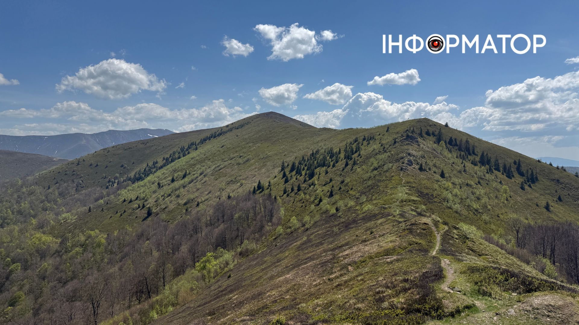 Зелене море, розрізане стежками: фоторепортаж з майже літніх Карпат 11