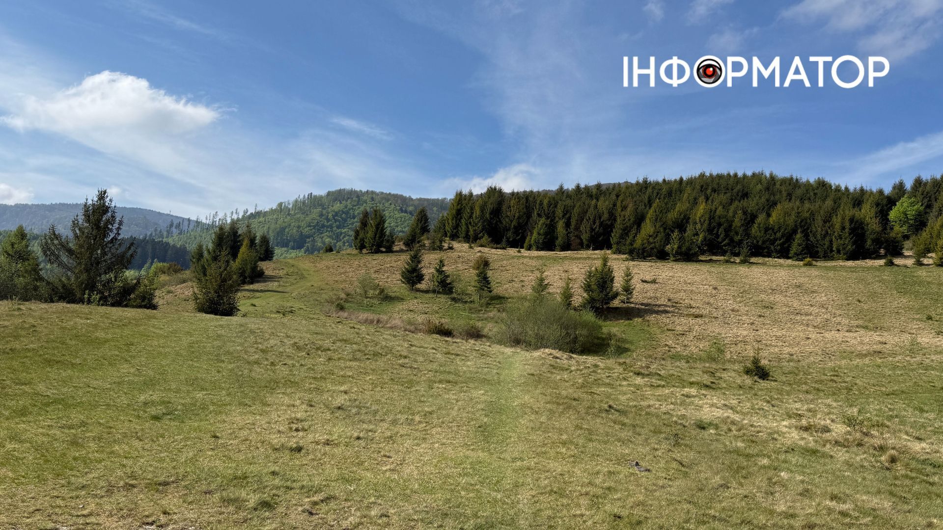 Зелене море, розрізане стежками: фоторепортаж з майже літніх Карпат 9