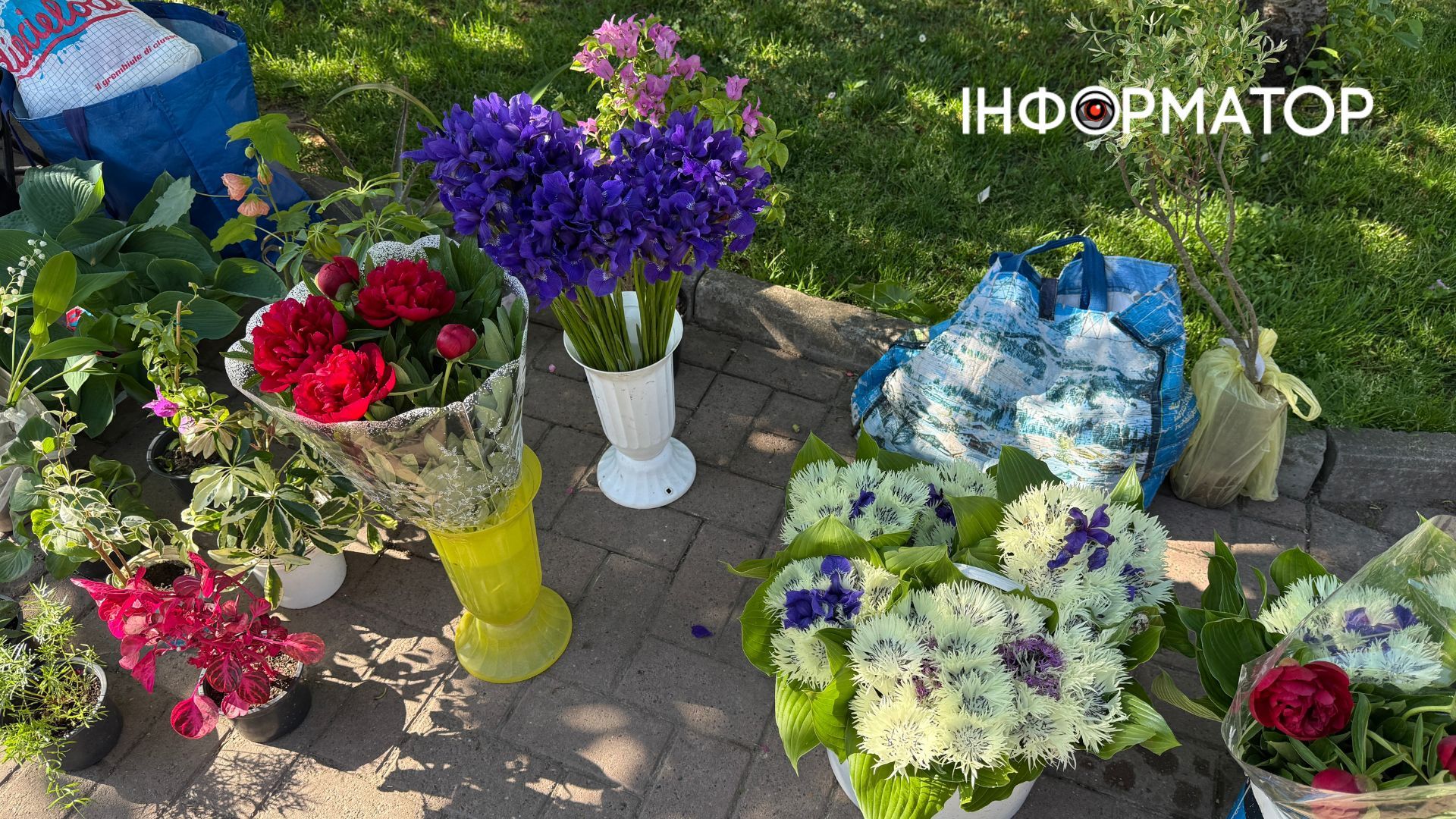 Які ціни на домашні та польові квіти в Коломиї? 4