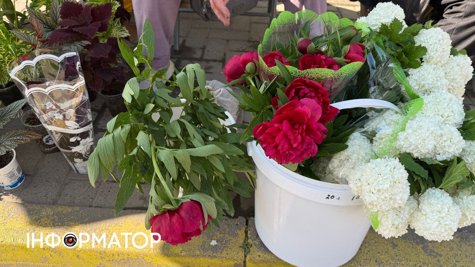 Які ціни на домашні та польові квіти в Коломиї? 5
