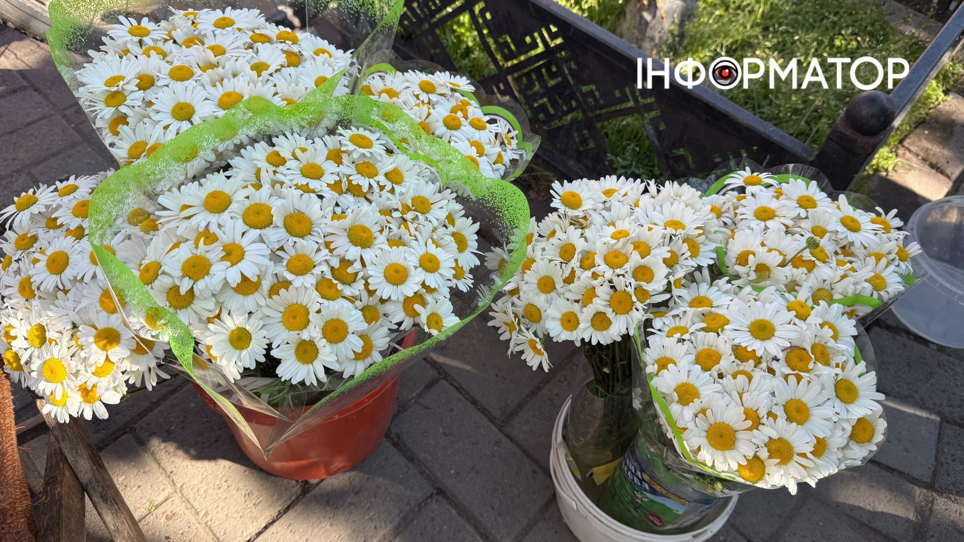 Які ціни на домашні та польові квіти в Коломиї? 8