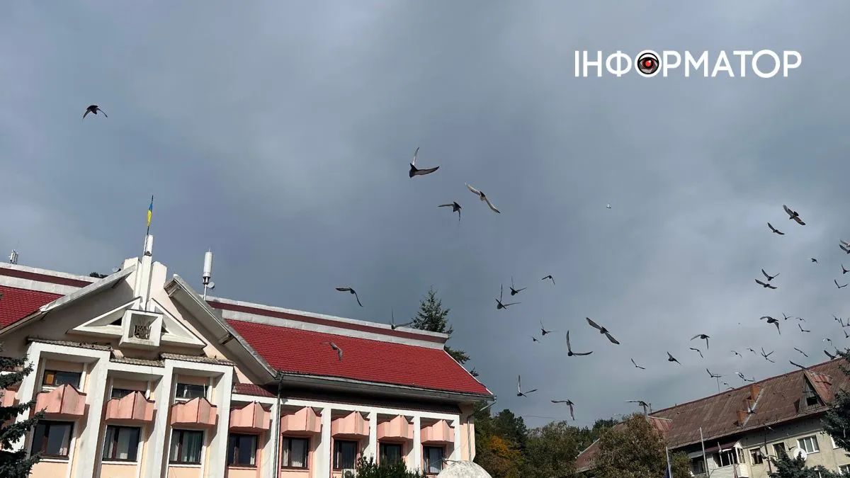 Добірка вакансій в Косові 27 травня