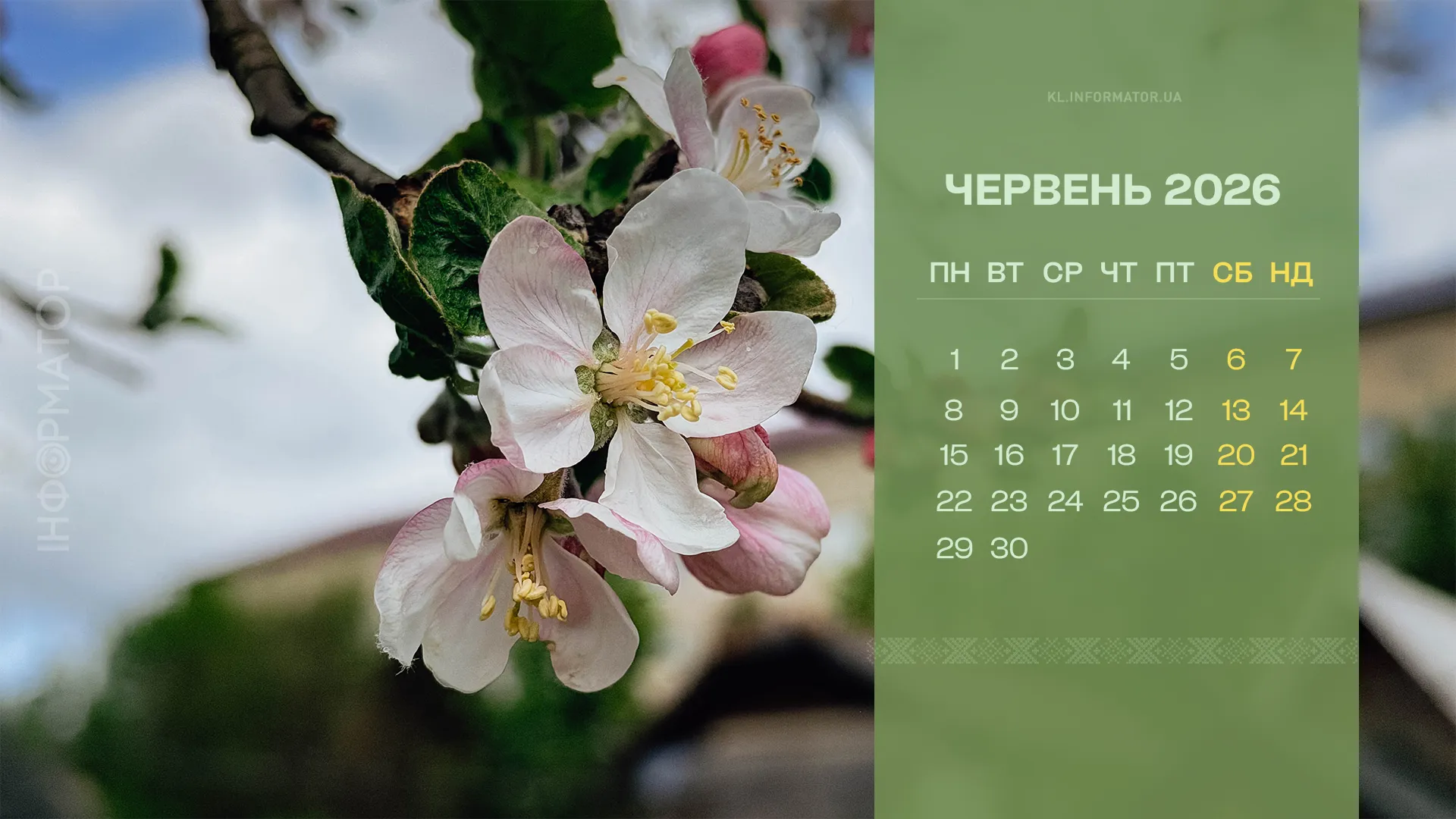 календарі
