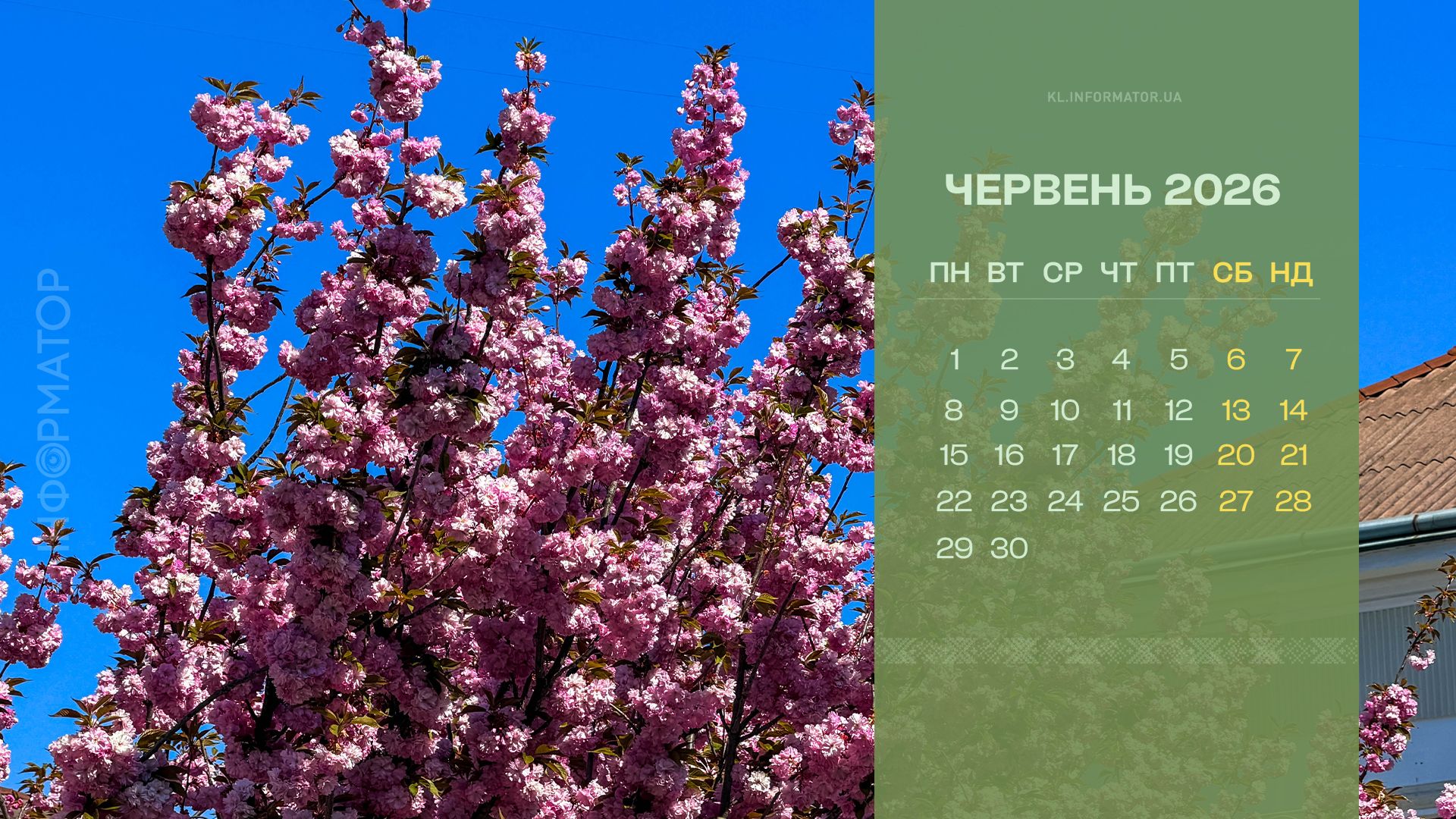 Сонячна Коломия на ваших екранах: фотокалендарі на червень 2026 3