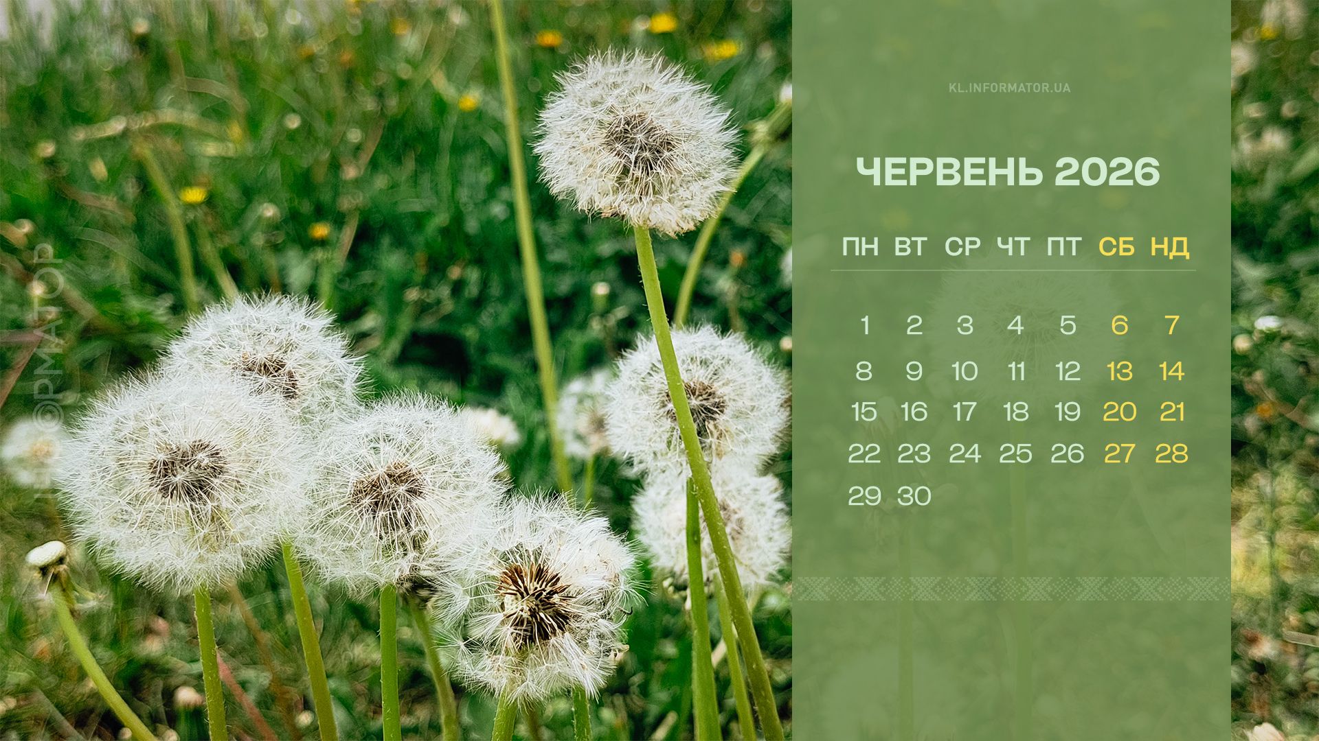 Сонячна Коломия на ваших екранах: фотокалендарі на червень 2026 1
