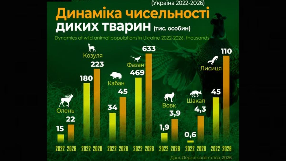 Популяції диких тварин в Україні стрімко зростають: чим це загрожує людям та природі 1