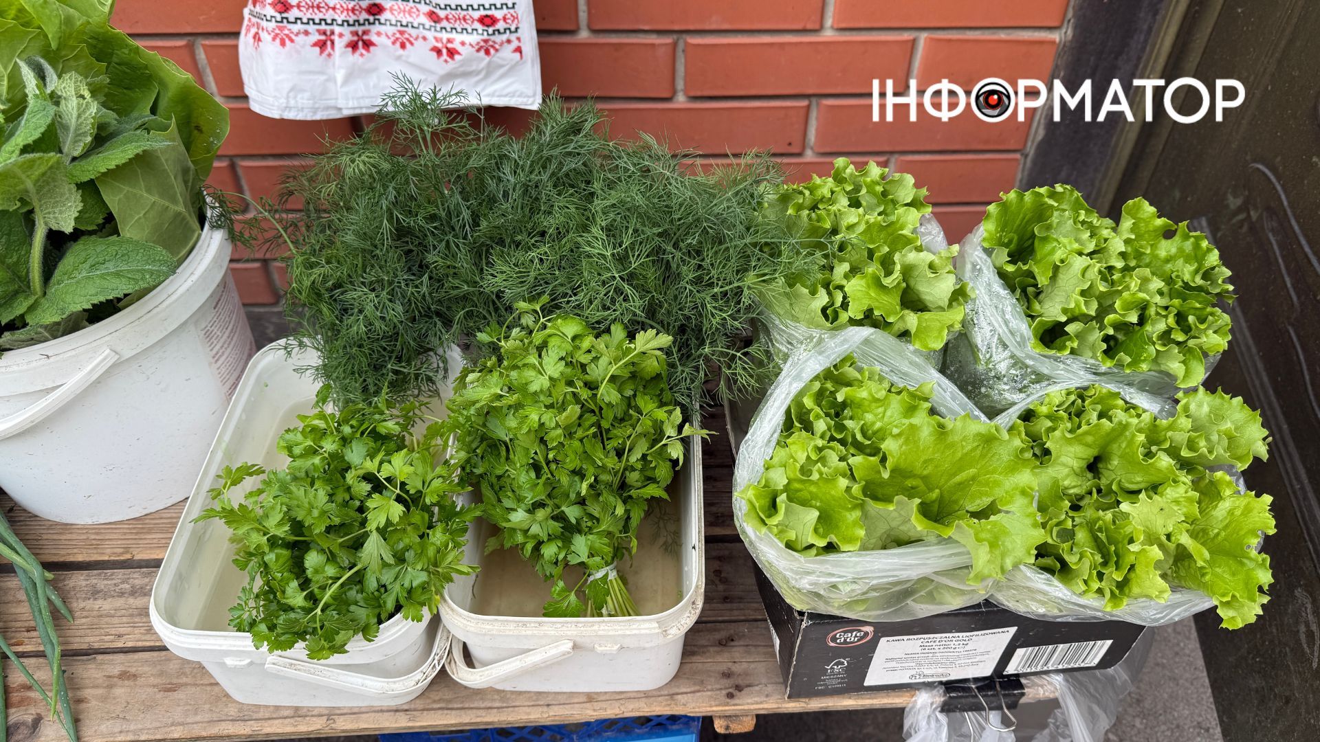 Ціни на зелень у Коломиї