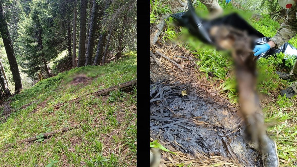 Поблизу кордону з Румунією виявили тіло чоловіка