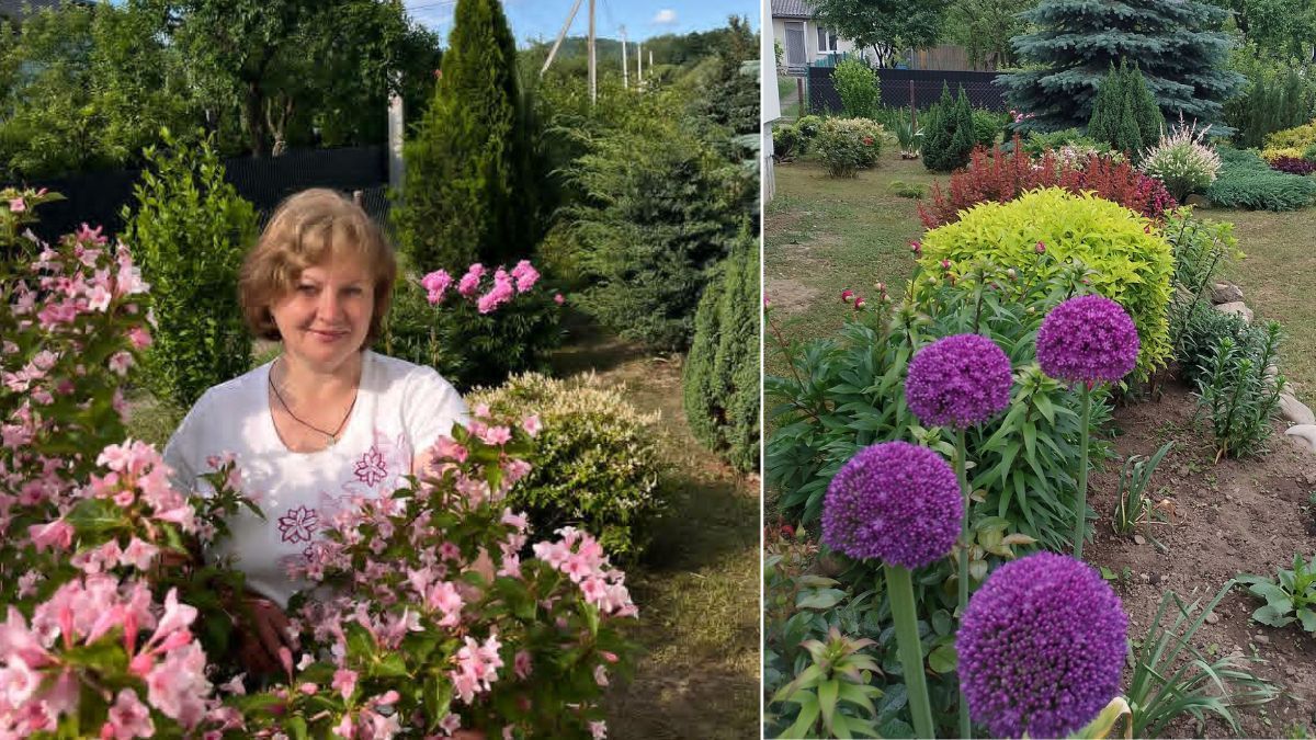 Дружина військового з Болехова створила дивовижний квітучий оазис
