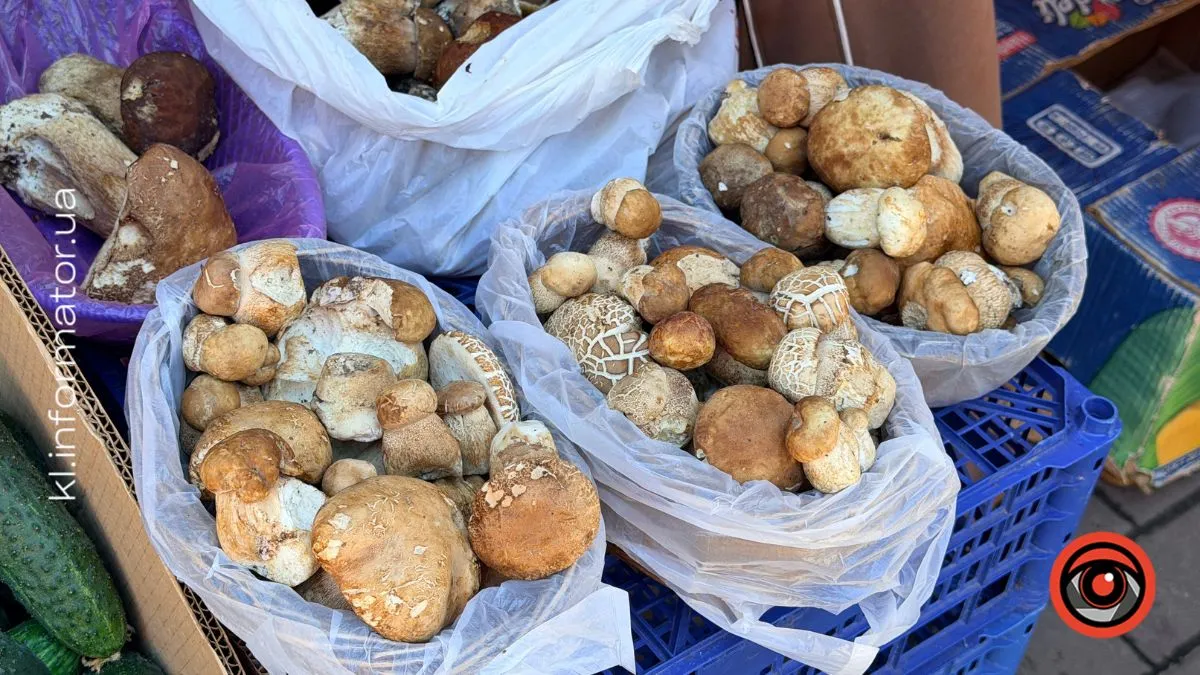 Скільки коштують літні білі гриби на базарі в Коломиї