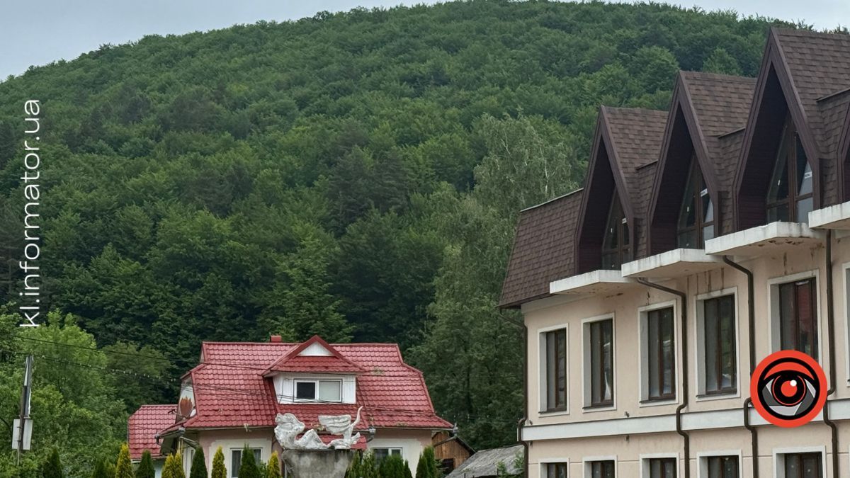 Зелена казка Косівщини: як виглядають гори на початку літа 8