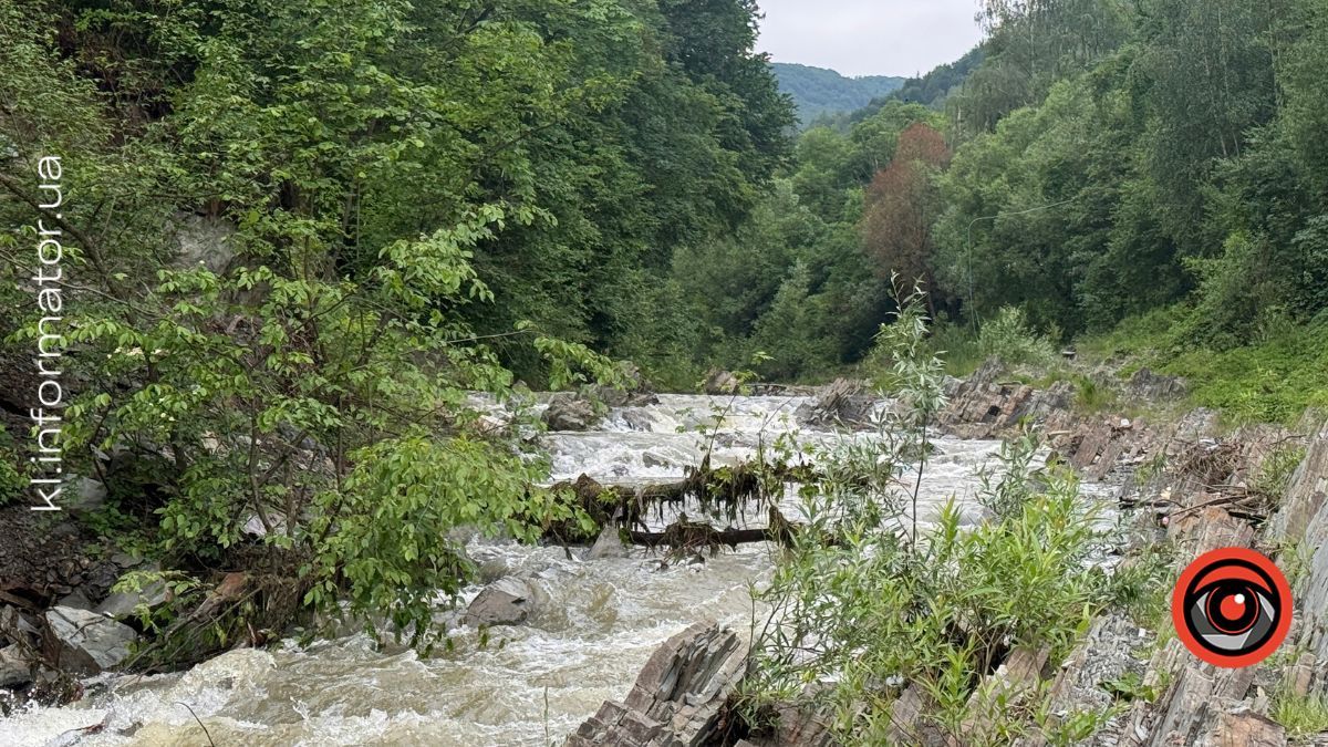 Зелена казка Косівщини: як виглядають гори на початку літа 13