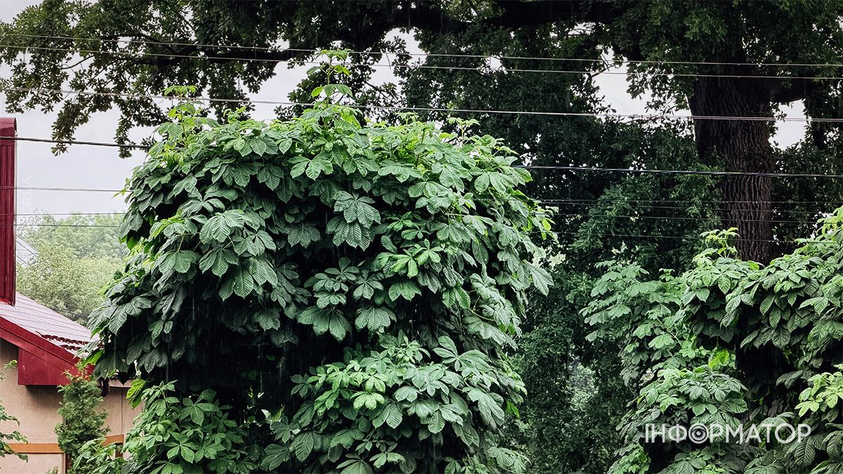 Похмура та затишна Коломия в об’єктиві: фоторепортаж міста 24