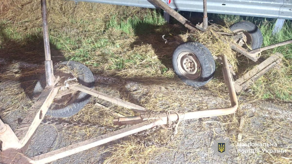 На Прикарпатті Jaguar врізався у гужовий віз: загинув 61-річний чоловік 4