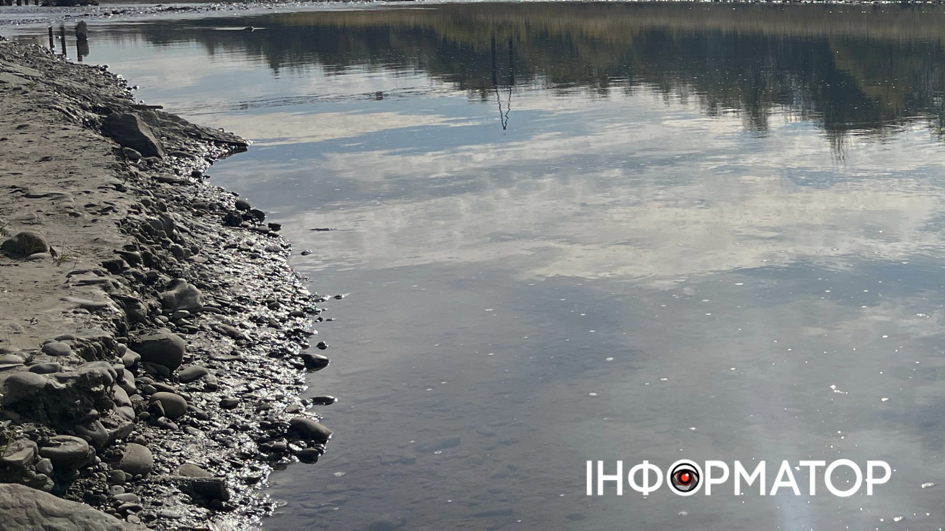 У воді річки Бистриця Надвірнянська виявили відхилення від норм