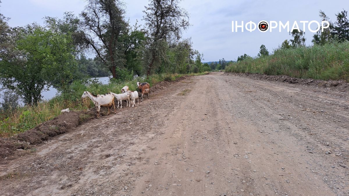 На Шевченківському озері розширили та розрівняли дорогу 1