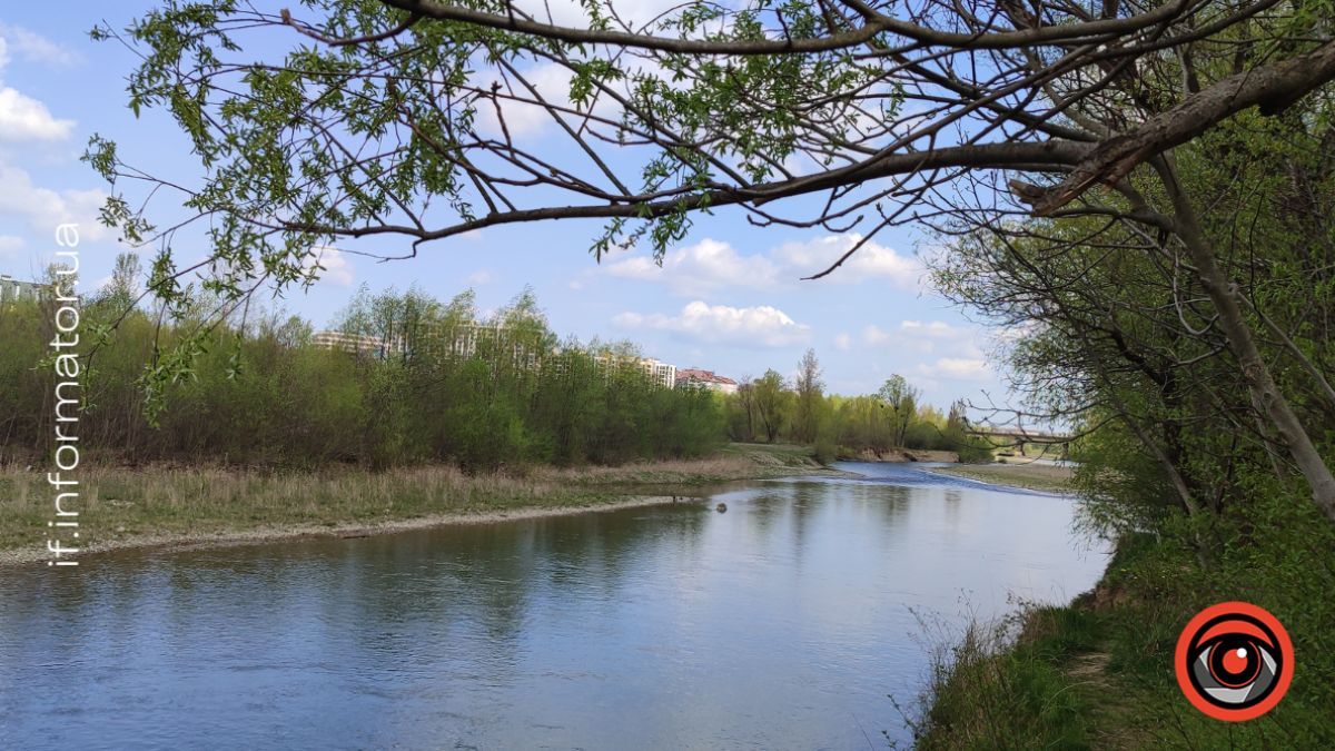 Якість води у річці Бистриця Надвірнянська