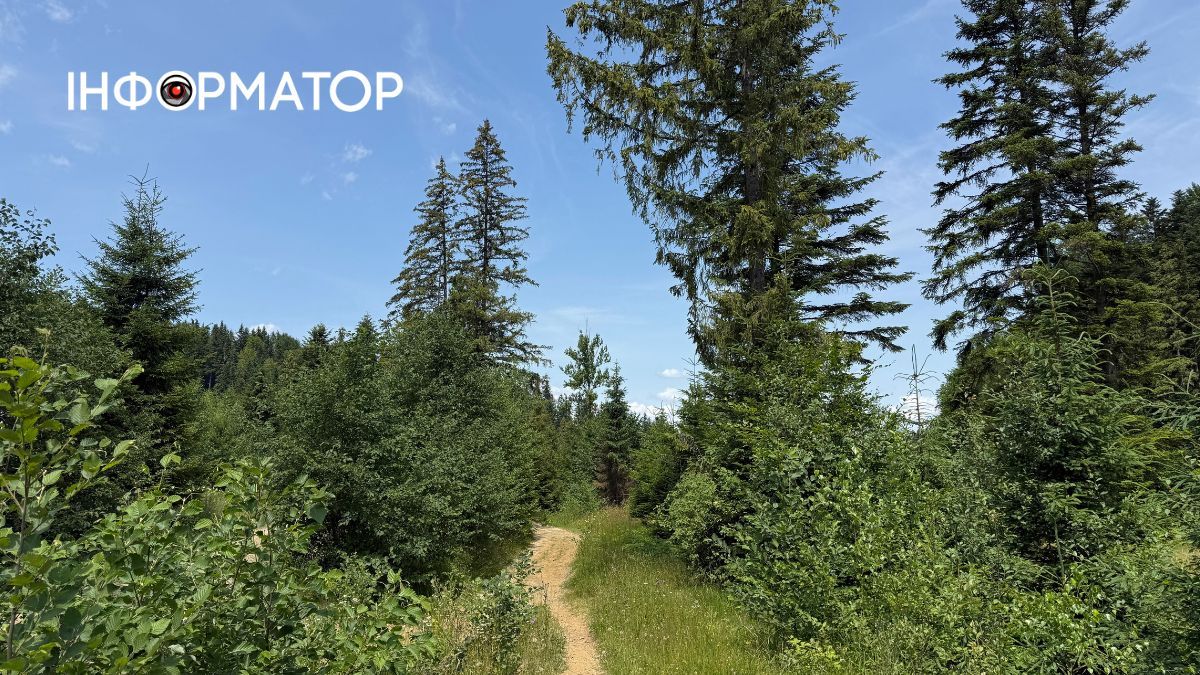 Фотоподорож липневими Карпатами