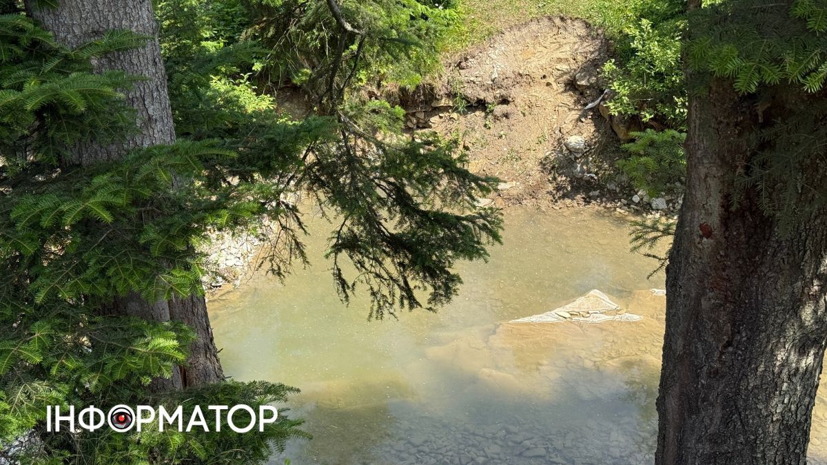 Магія зеленого літа: фотоподорож липневими Карпатами 8