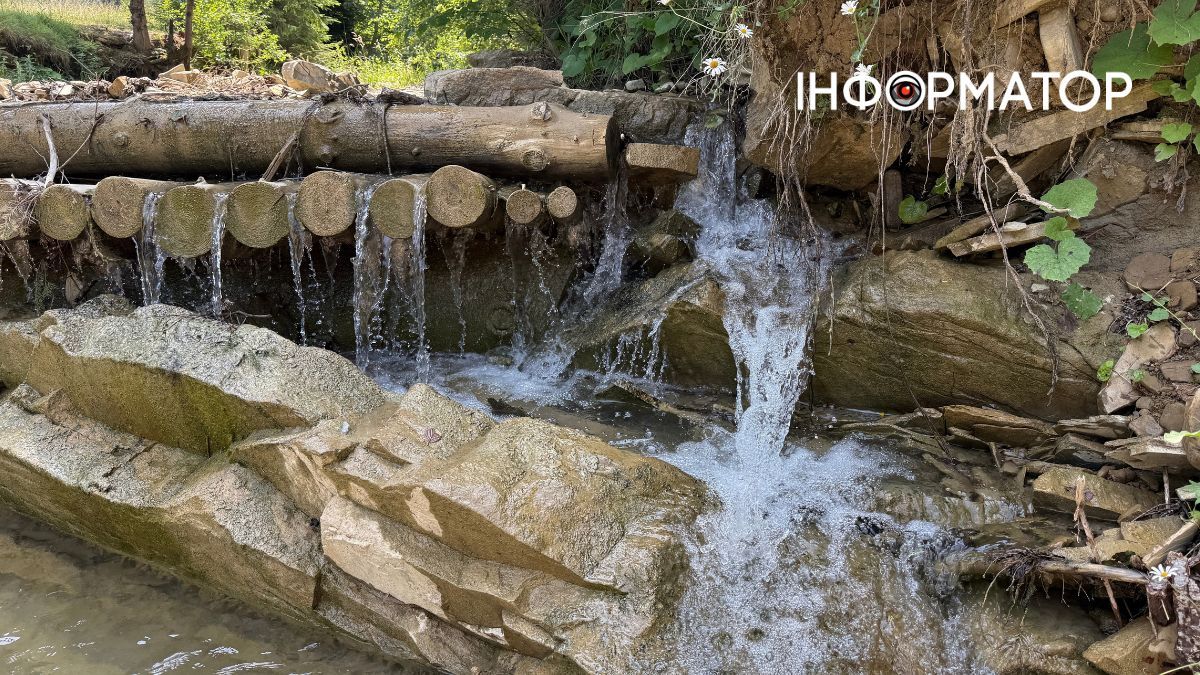 Магія зеленого літа: фотоподорож липневими Карпатами 13
