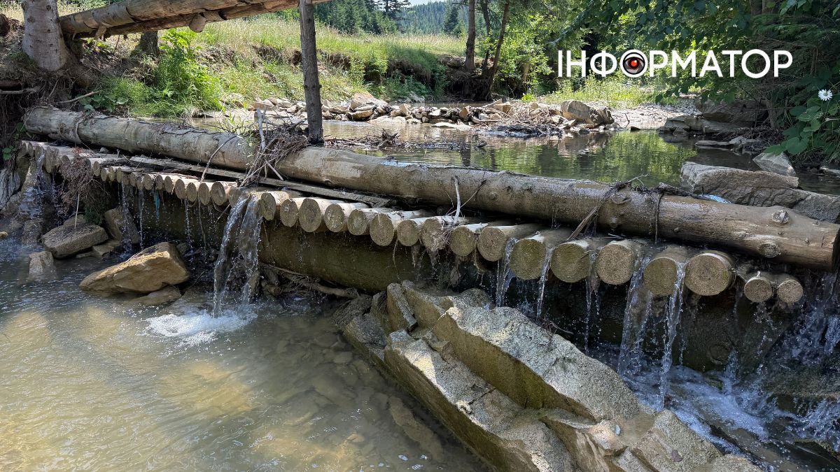Магія зеленого літа: фотоподорож липневими Карпатами 15