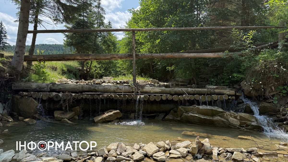 Магія зеленого літа: фотоподорож липневими Карпатами 20