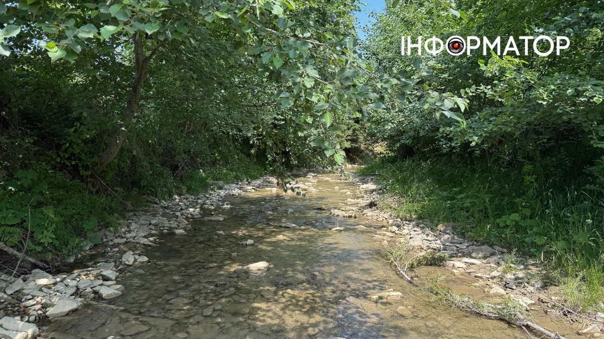 Магія зеленого літа: фотоподорож липневими Карпатами 16