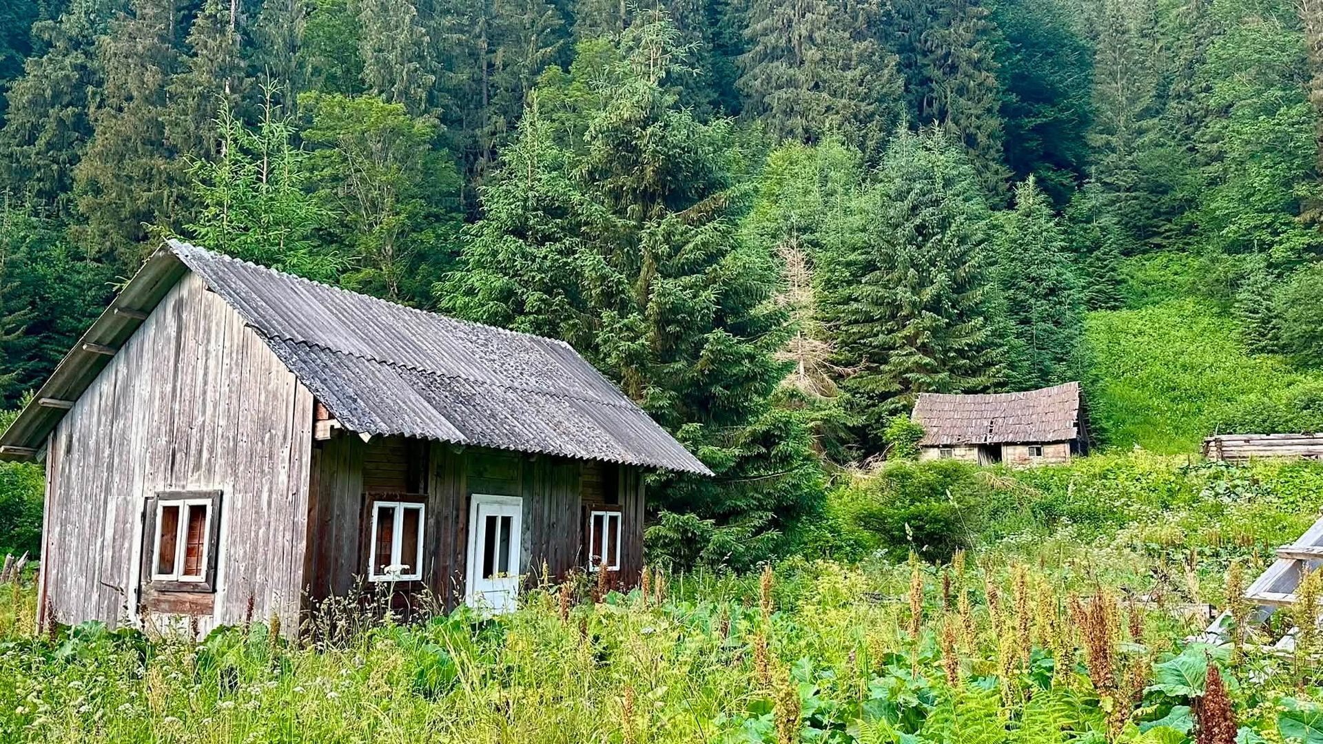 Там, де зупинився час: як зараз виглядає покинуте село Буркут 6