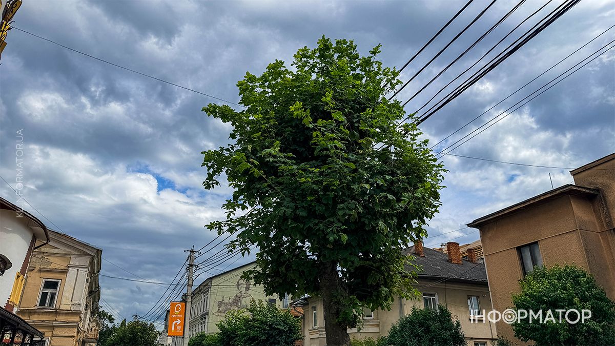 Затишний фоторепортаж із вулиць Коломиї 30