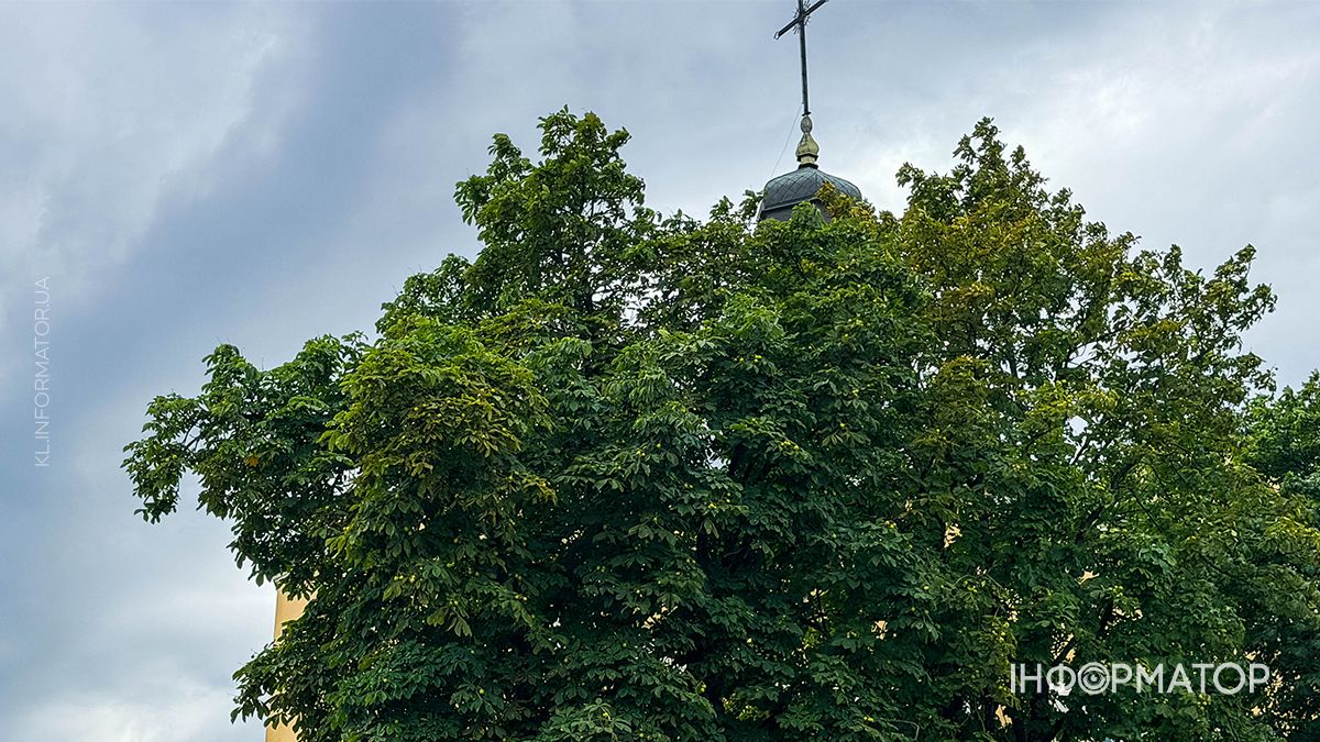 Затишний фоторепортаж із вулиць Коломиї 13