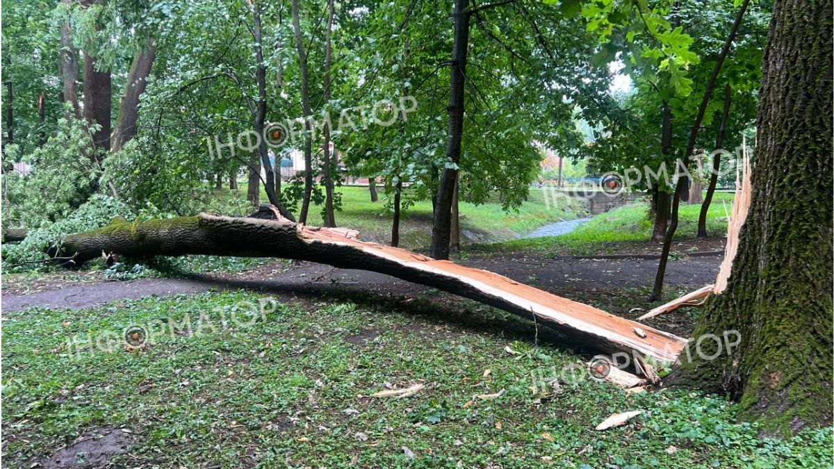 Через негоду на Прикарпатті без світла залишилось понад тисячу споживачів