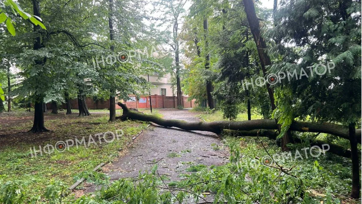 Негода наробила лиха у Коломиї: повалені дерева, пошкоджені авто, затоплені вулиці та зірвані дахи 12