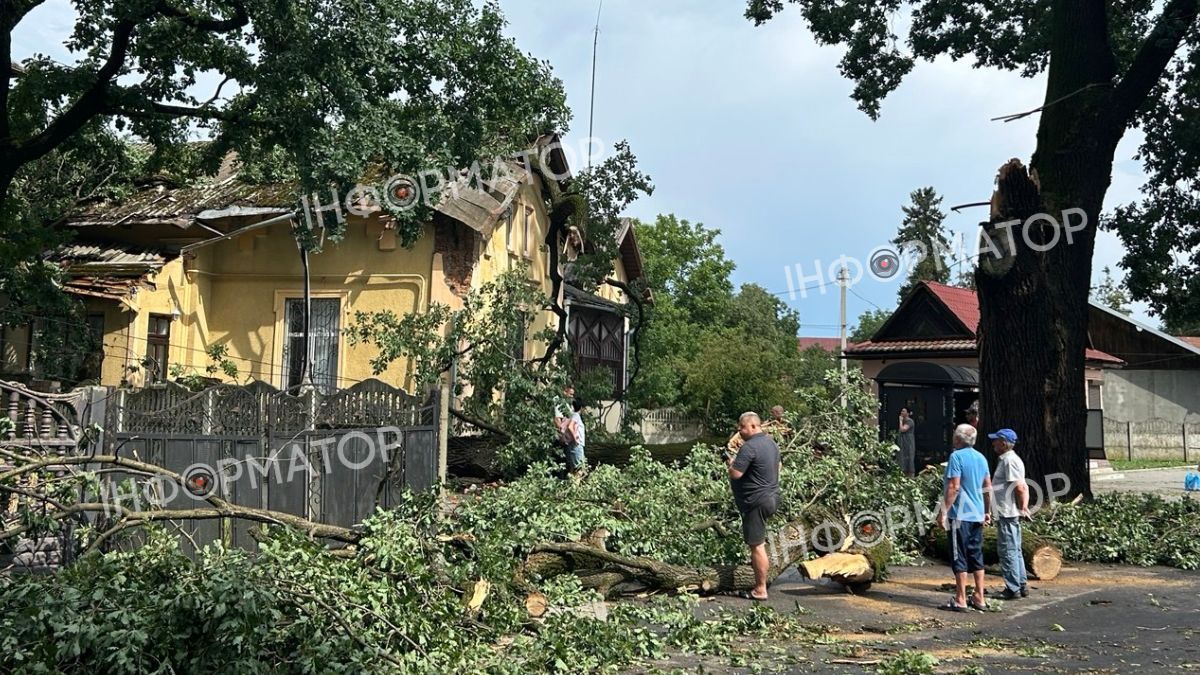 Шквальний вітер та дощ пошкодили фасад Писанки у Коломиї. Також постраждала ботанічна пам'ятка 4