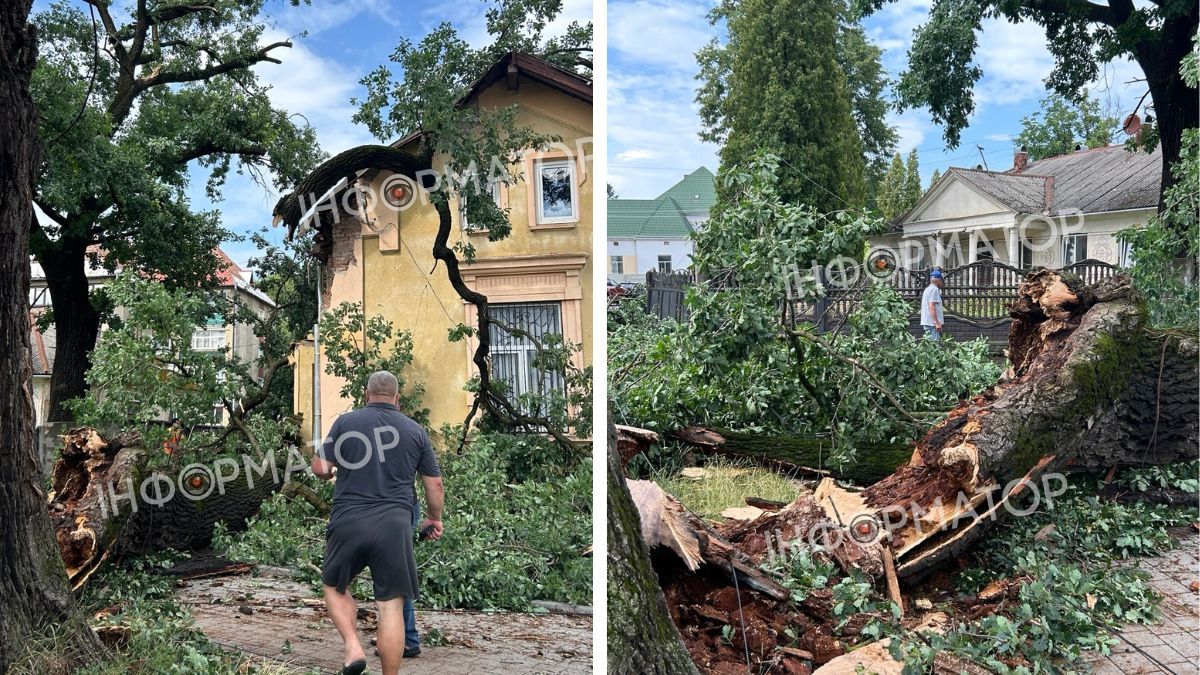 Шквальний вітер та дощ пошкодили фасад Писанки у Коломиї. Також постраждала ботанічна пам'ятка 5