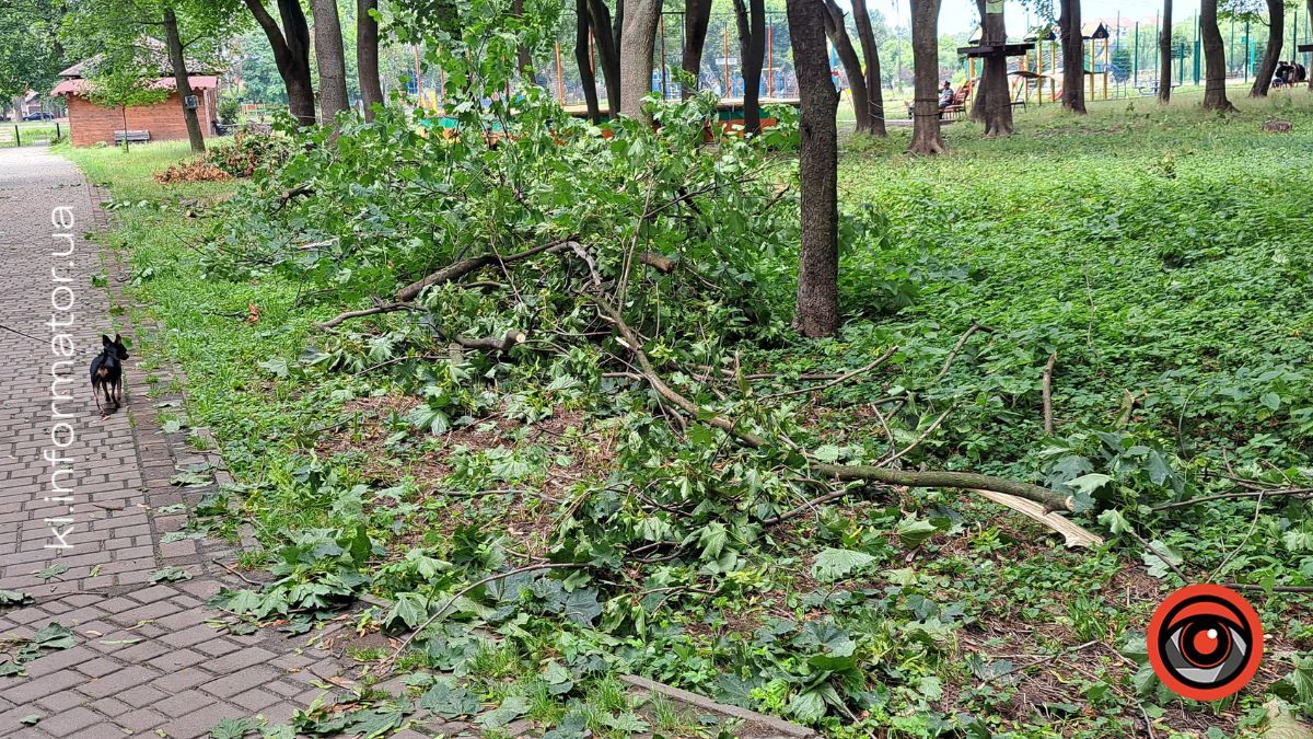 Нові наслідки негоди: у парку повалені дерева, на стадіоні "Юність" пошкоджено бігові доріжки 7