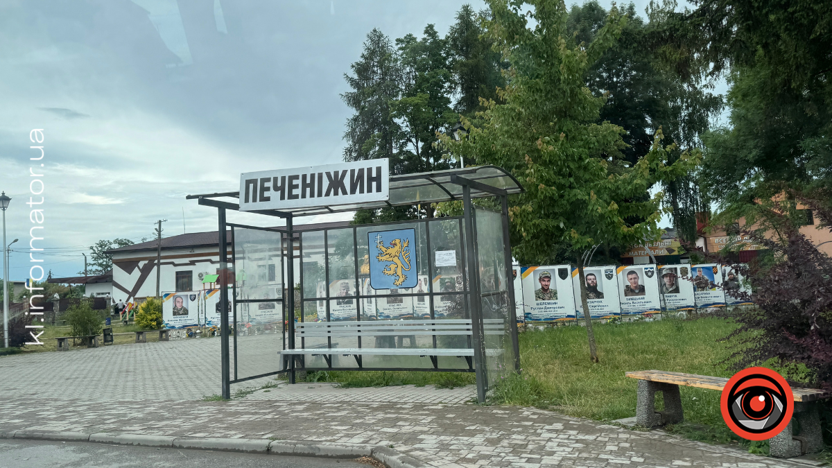 ТОП-6 найбільш розбитих ділянок дороги у Печеніжині