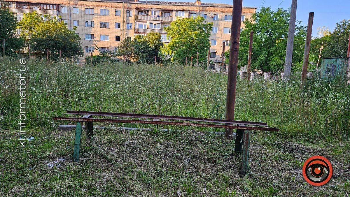 Тренування у преріях: футбольне поле у центральній частині Коломиї перетворилось на хащі 6