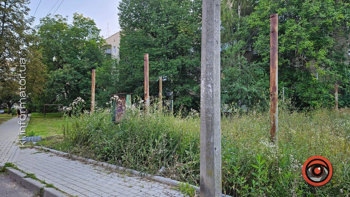 Тренування у преріях: футбольне поле у центральній частині Коломиї перетворилось на хащі 5